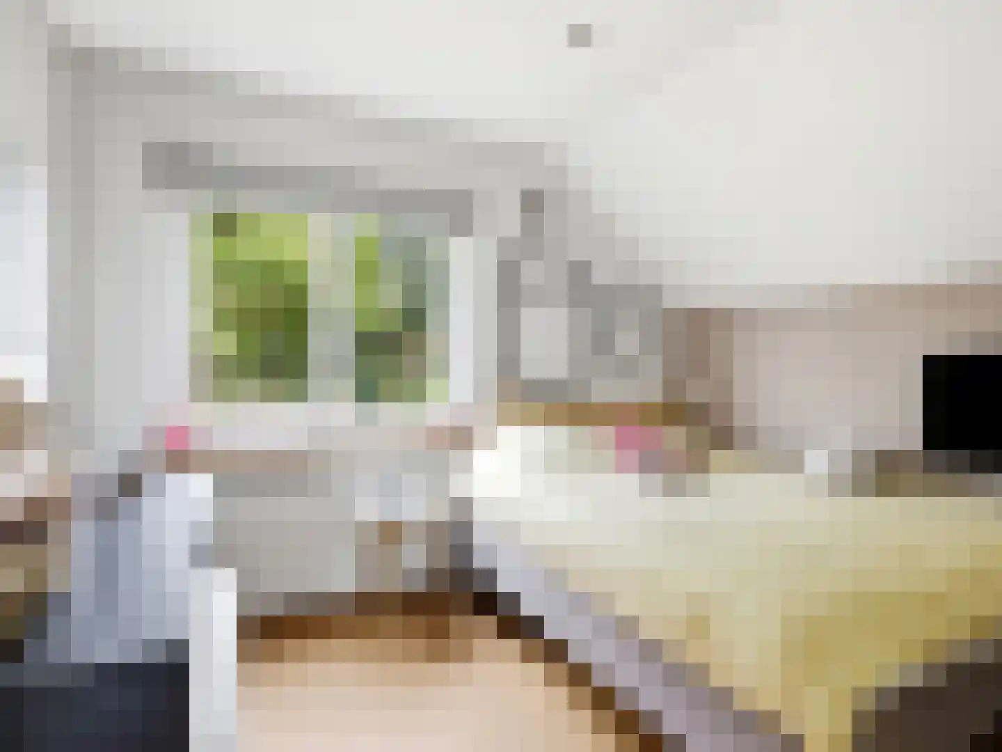 Meidoornlaan 2 Warnsveld thumbnail 25