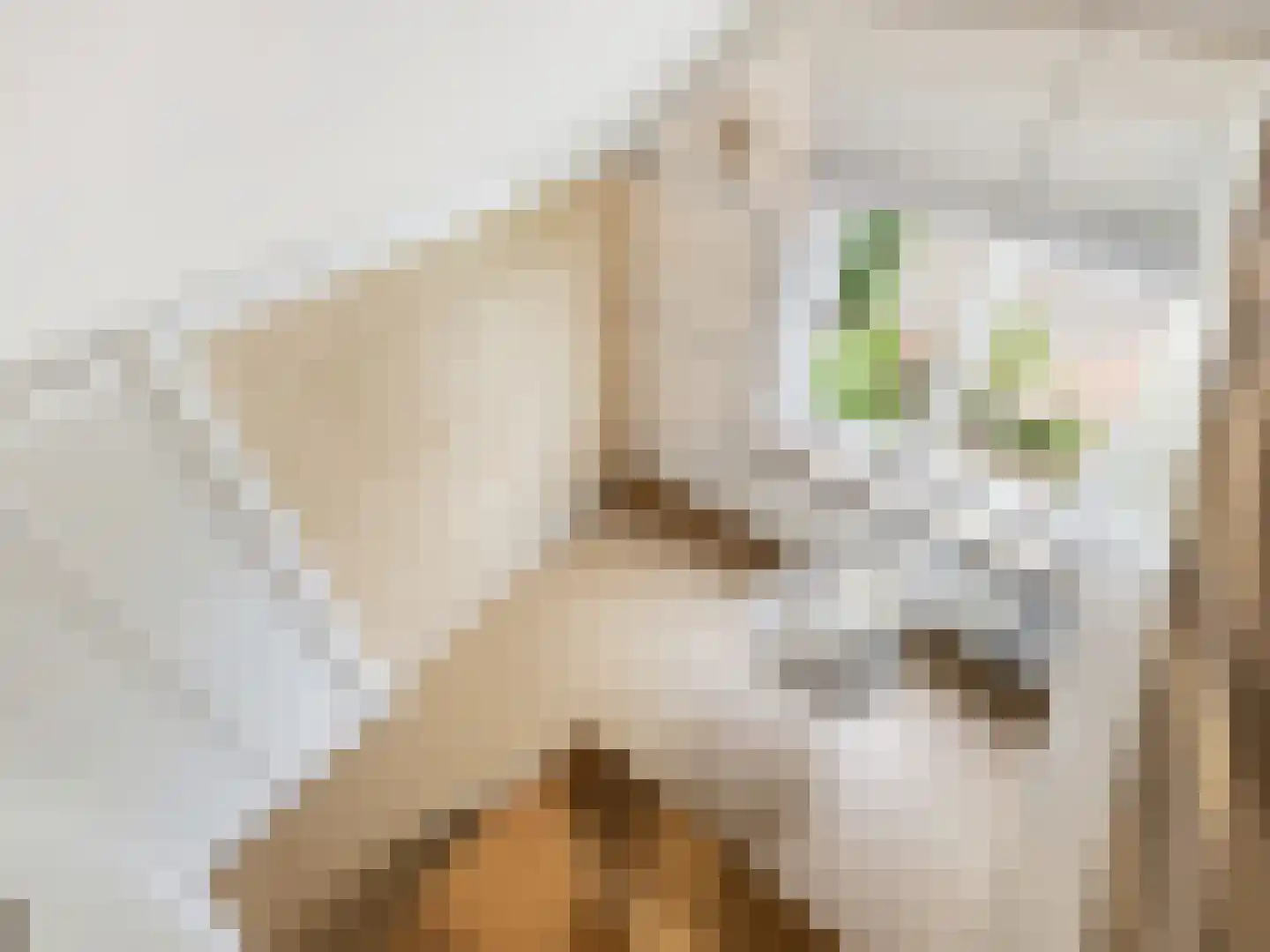 Meidoornlaan 2 Warnsveld thumbnail 28