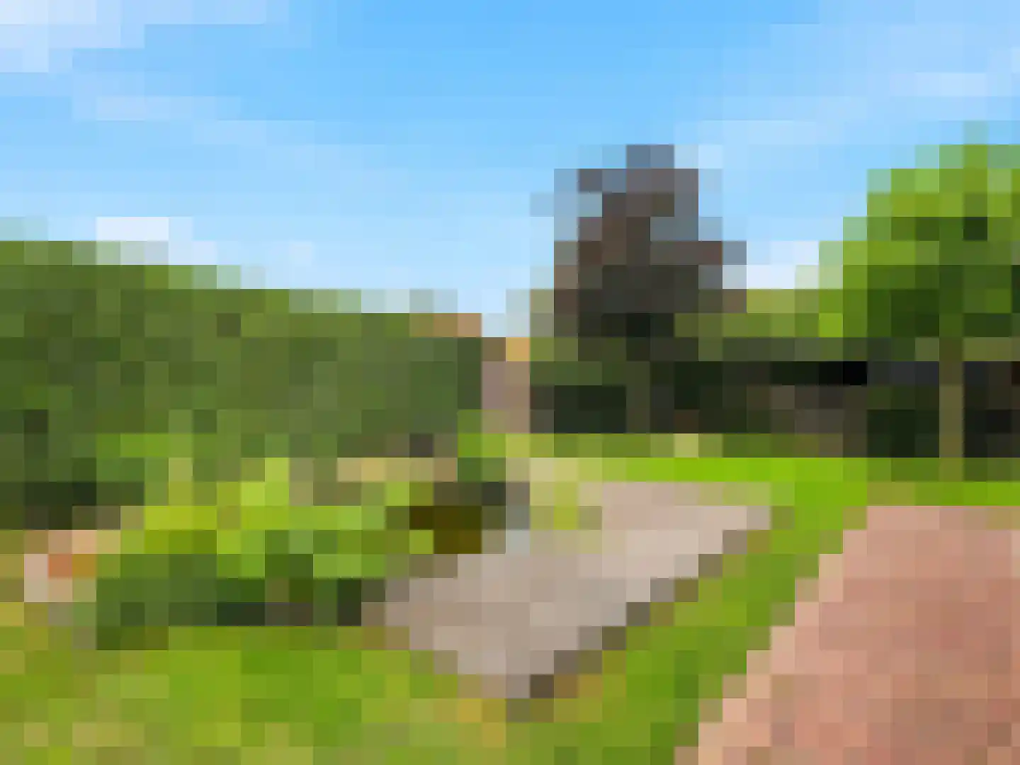 Meidoornlaan 2 Warnsveld thumbnail 33