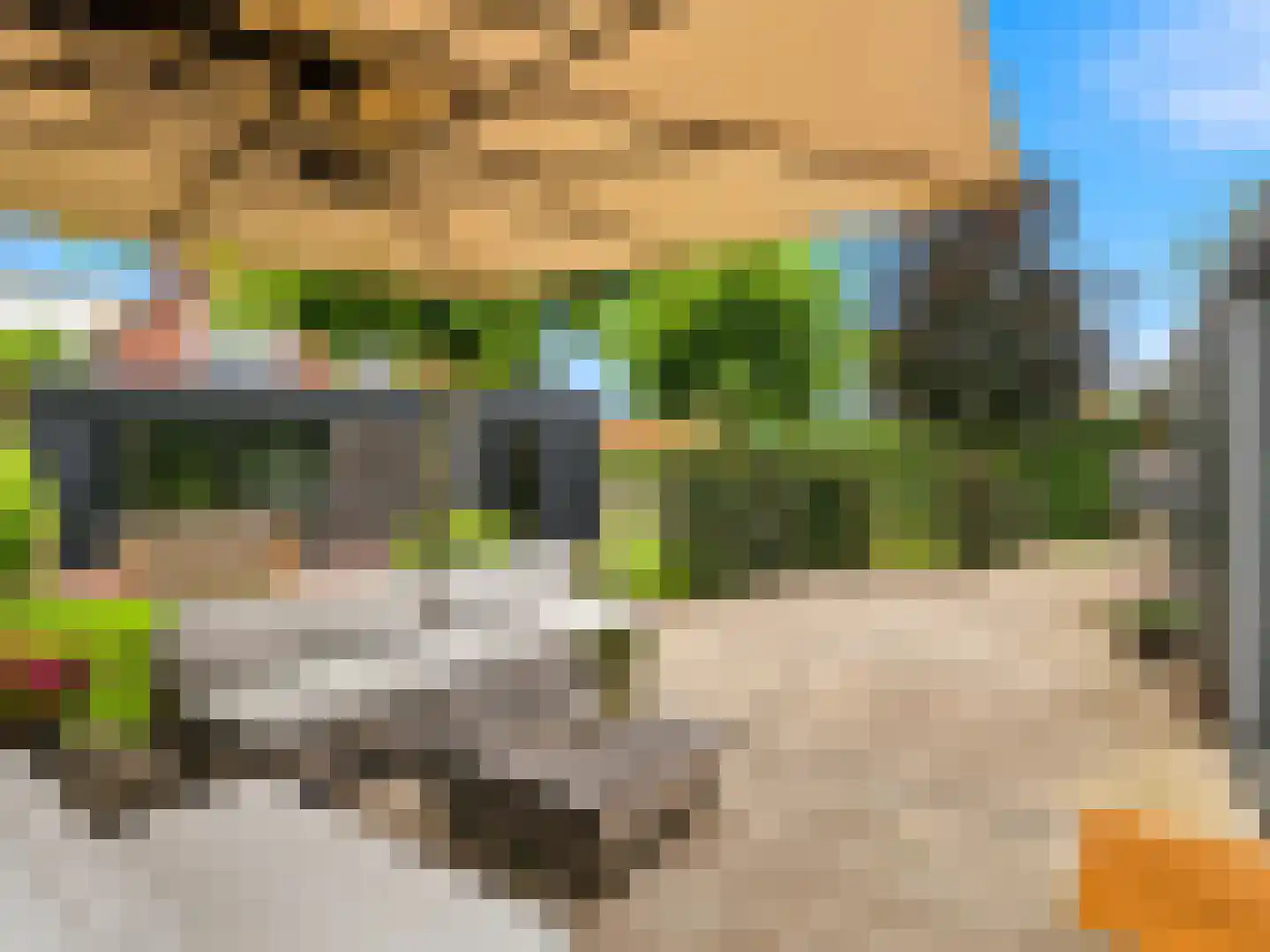 Meidoornlaan 2 Warnsveld thumbnail 38