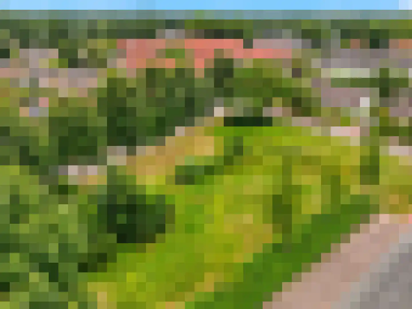 Meidoornlaan 2 Warnsveld thumbnail 42