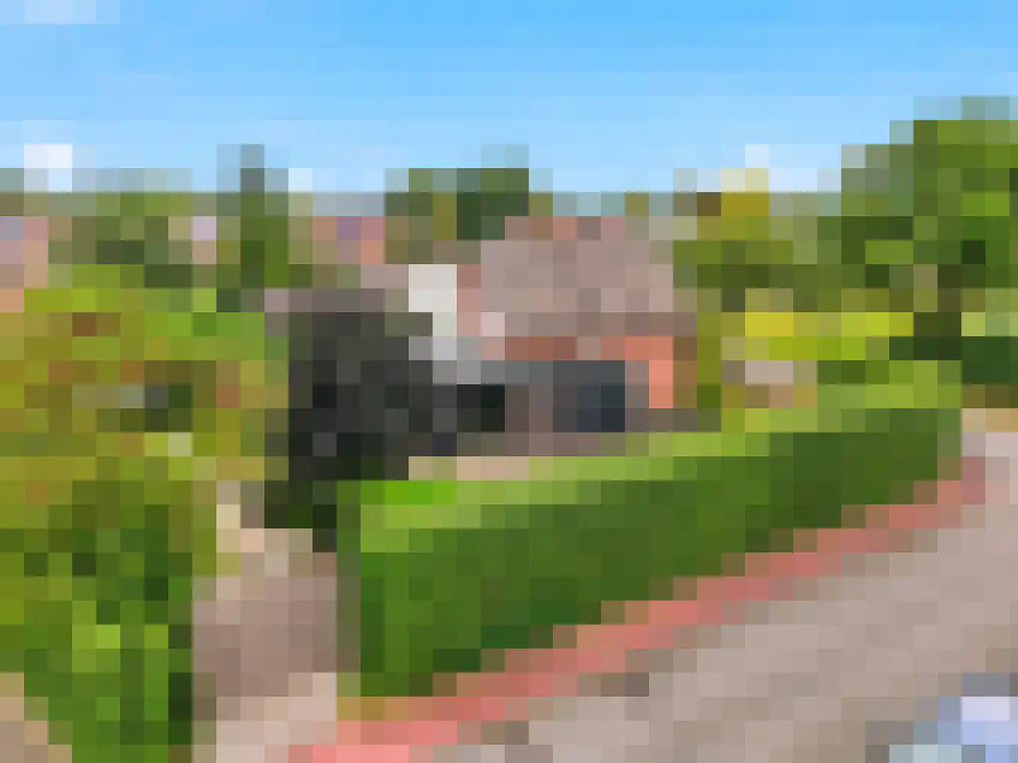 Meidoornlaan 2 Warnsveld thumbnail 44