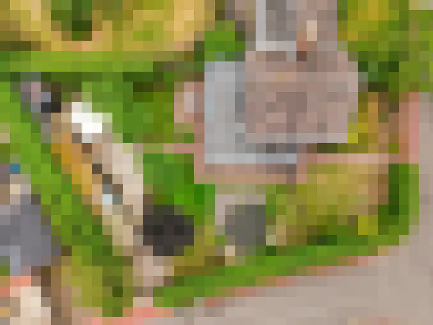 Meidoornlaan 2 Warnsveld thumbnail 45
