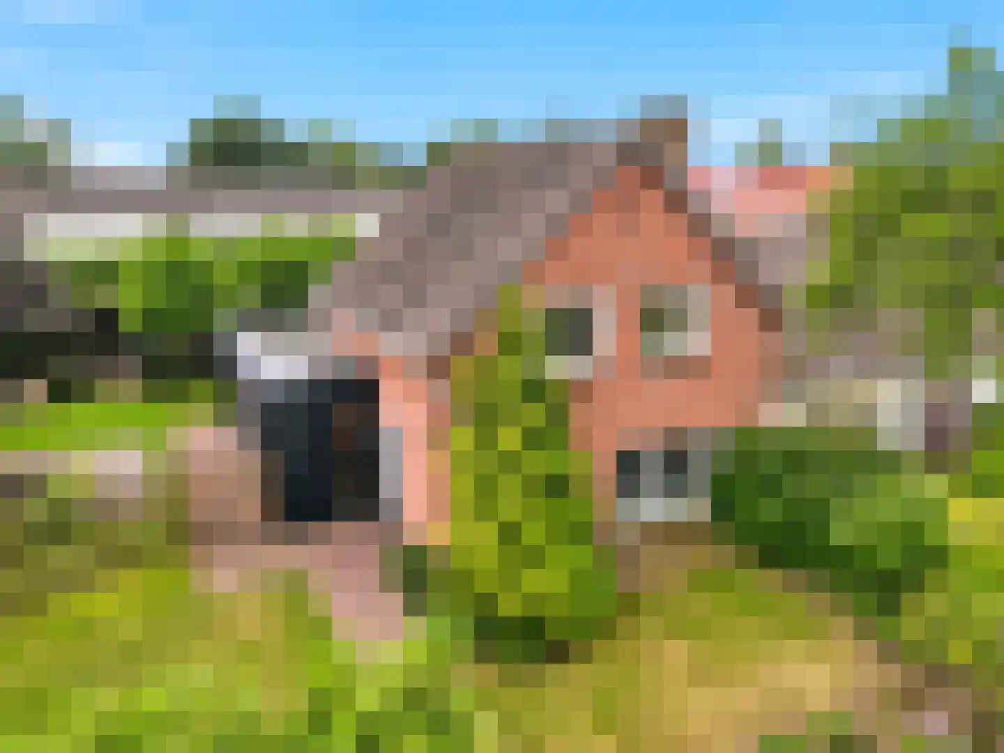 Meidoornlaan 2 Warnsveld thumbnail 46