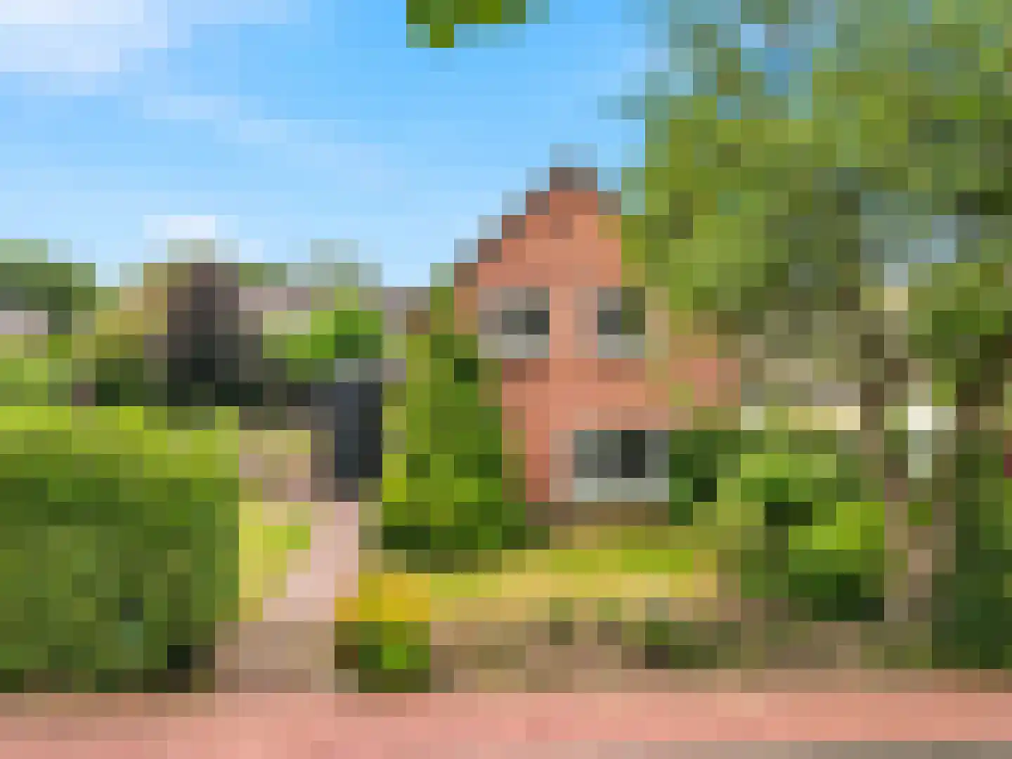 Meidoornlaan 2 Warnsveld thumbnail 47