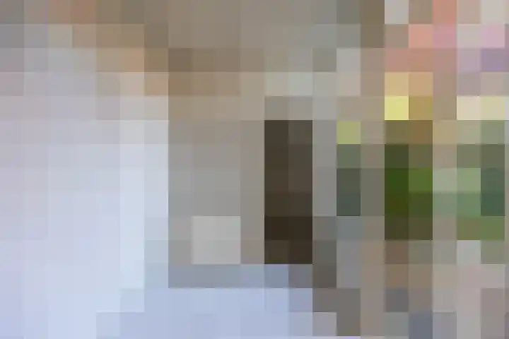 Meidoornlaan 20 Leidschendam thumbnail 11