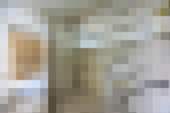 Meidoornlaan 20 Leidschendam thumbnail 12