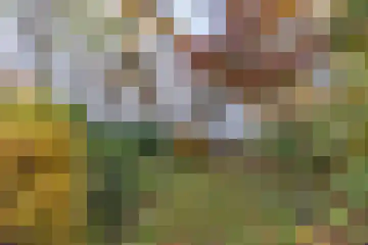 Meidoornlaan 20 Leidschendam thumbnail 13