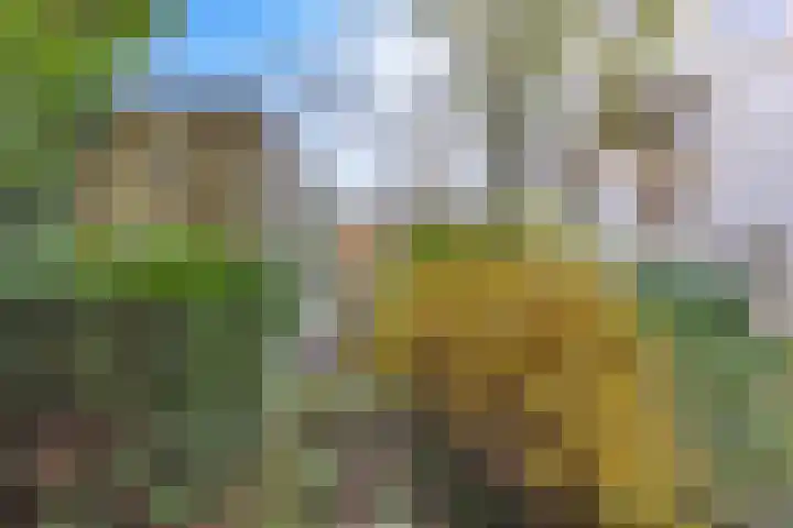 Meidoornlaan 20 Leidschendam thumbnail 14