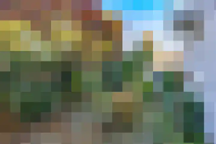 Meidoornlaan 20 Leidschendam thumbnail 15