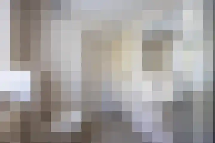 Meidoornlaan 20 Leidschendam thumbnail 27