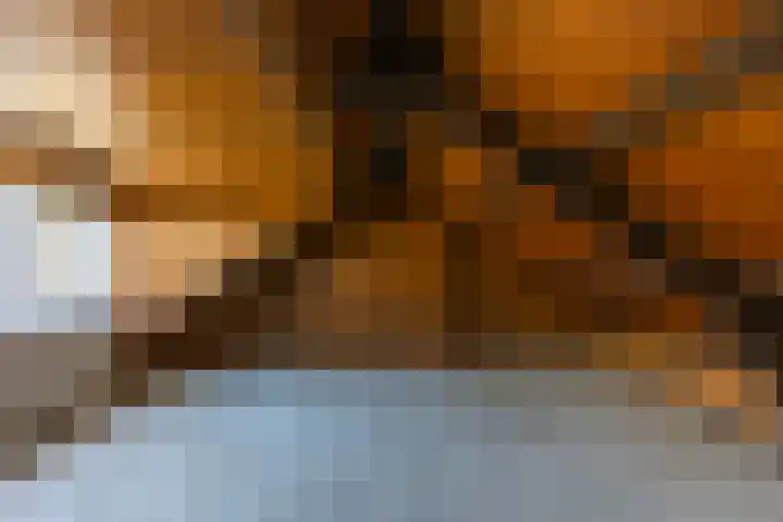 Meidoornlaan 20 Leidschendam thumbnail 31