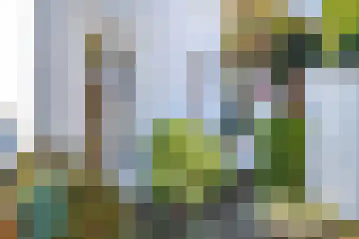 Meidoornlaan 20 Leidschendam thumbnail 32