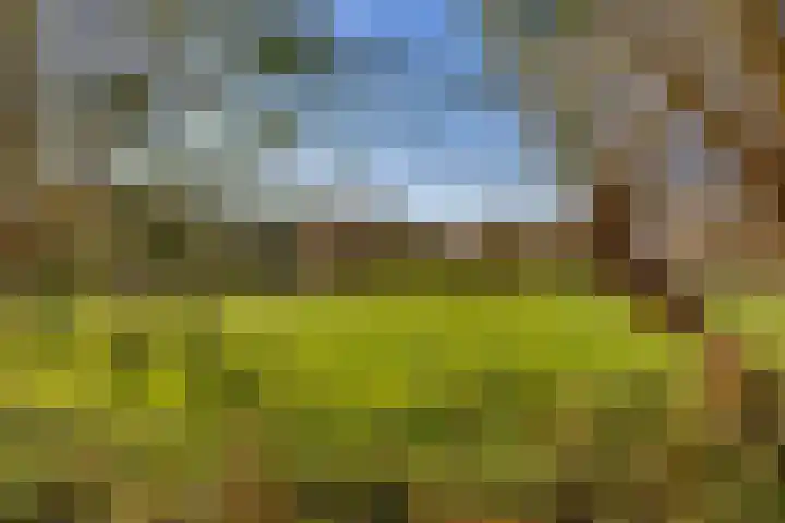 Meidoornlaan 20 Leidschendam thumbnail 37