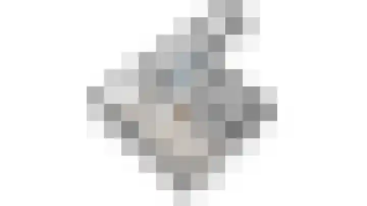 Meidoornlaan 20 Leidschendam thumbnail 43