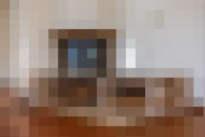 Meidoornlaan 20 Leidschendam thumbnail 6
