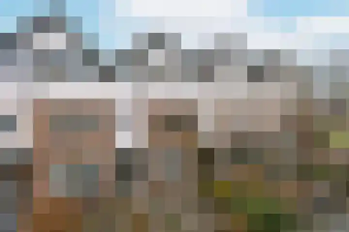 Meidoornlaan 20 Nieuwkoop