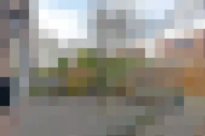 Meidoornlaan 20 Nieuwkoop thumbnail 32