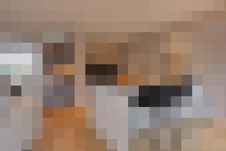 Meidoornlaan 20 Nieuwkoop thumbnail 7