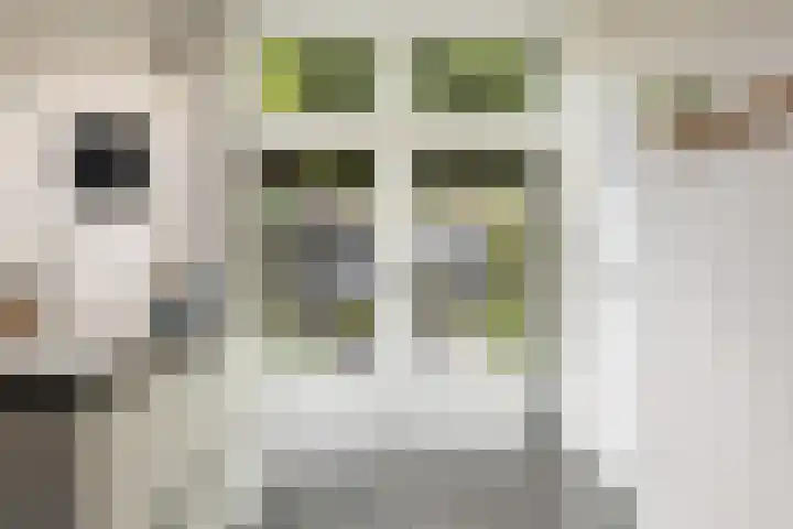 Meidoornlaan 20 Renswoude thumbnail 19