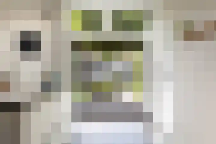 Meidoornlaan 20 Renswoude thumbnail 20