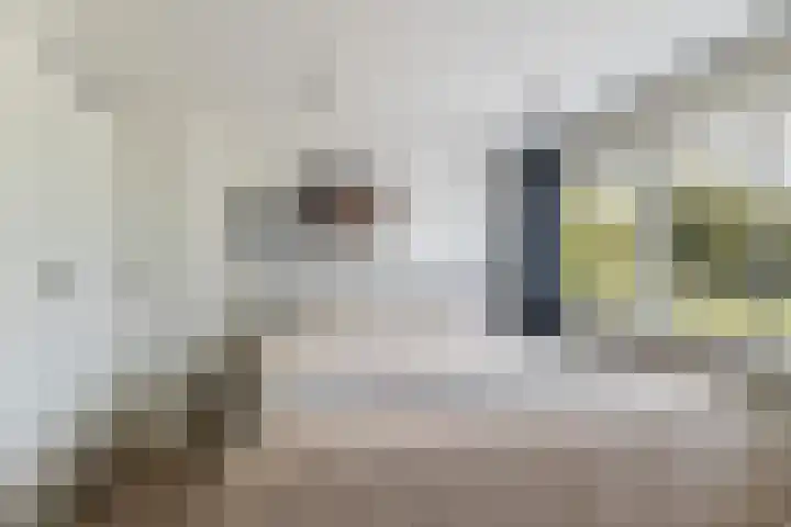 Meidoornlaan 20 Renswoude thumbnail 26