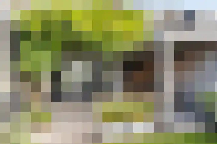 Meidoornlaan 20 Renswoude thumbnail 40