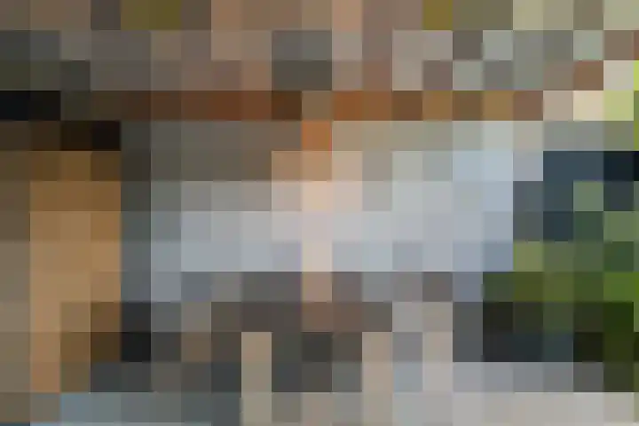 Meidoornlaan 20 Renswoude thumbnail 42