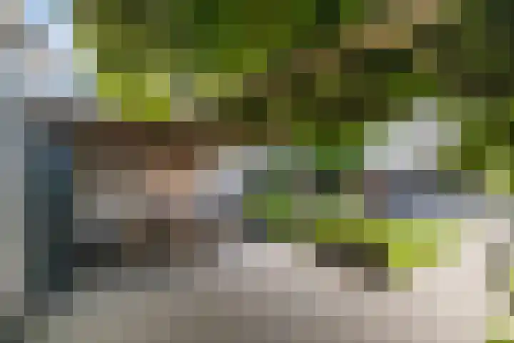Meidoornlaan 20 Renswoude thumbnail 43