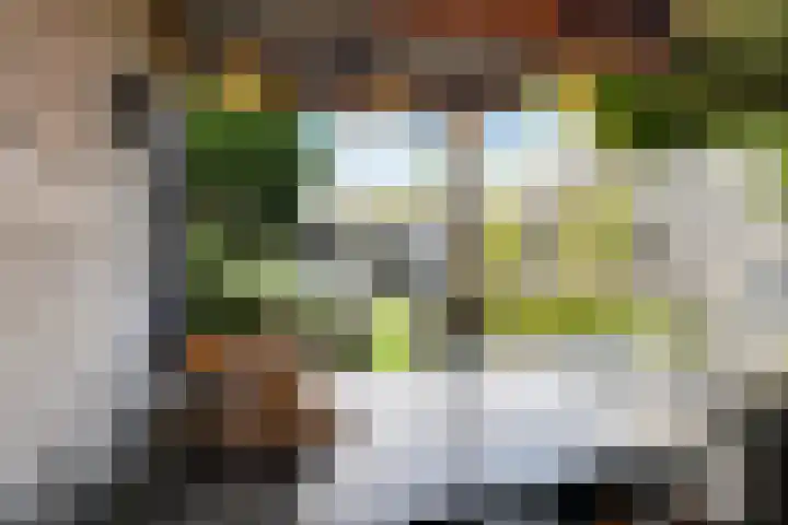 Meidoornlaan 20 Renswoude thumbnail 44