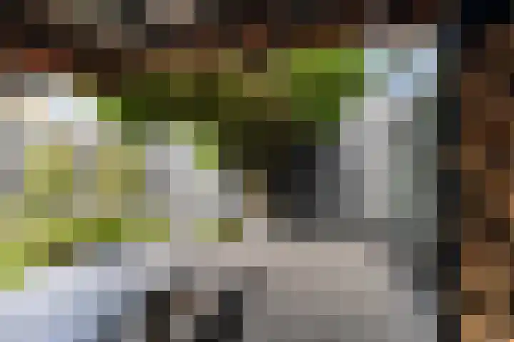 Meidoornlaan 20 Renswoude thumbnail 45