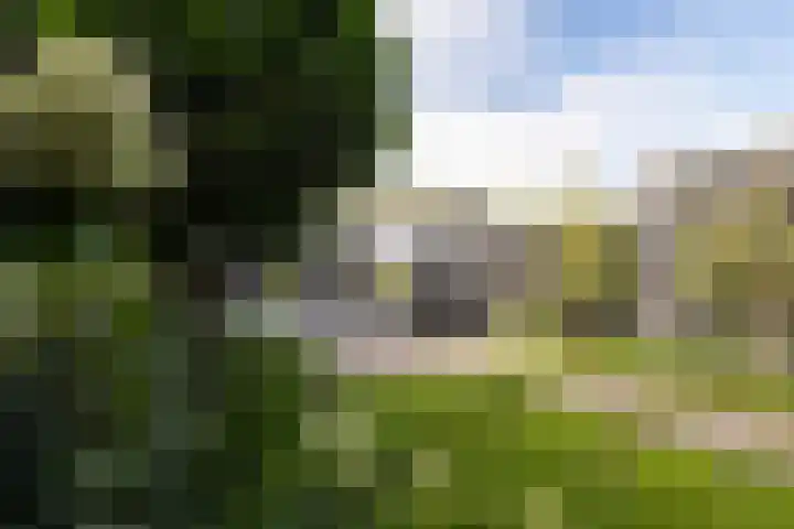 Meidoornlaan 20 Renswoude thumbnail 47
