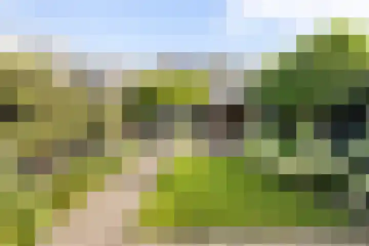 Meidoornlaan 20 Renswoude thumbnail 51