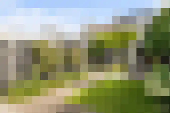Meidoornlaan 20 Renswoude thumbnail 52