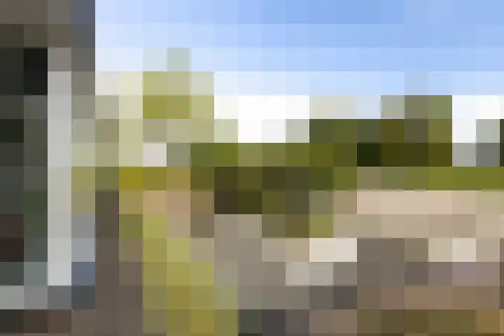 Meidoornlaan 20 Renswoude thumbnail 56