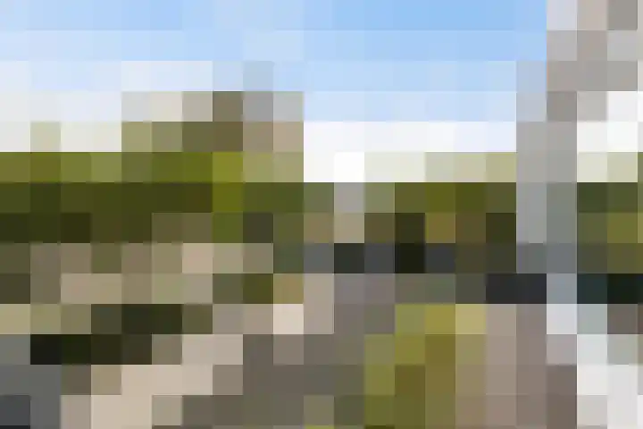 Meidoornlaan 20 Renswoude thumbnail 57