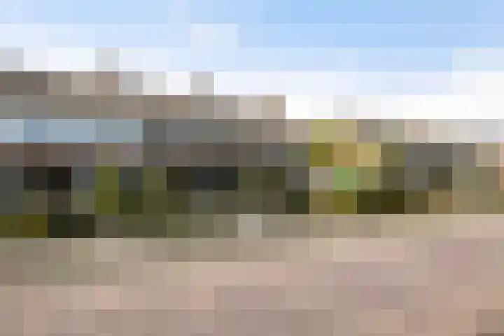 Meidoornlaan 20 Renswoude thumbnail 58