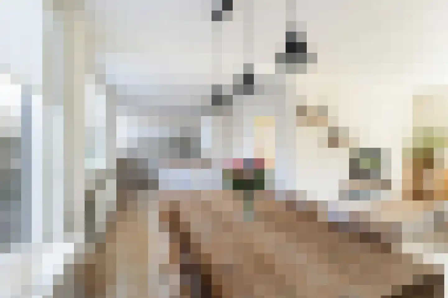 Meidoornlaan 21 Kamerik thumbnail 10