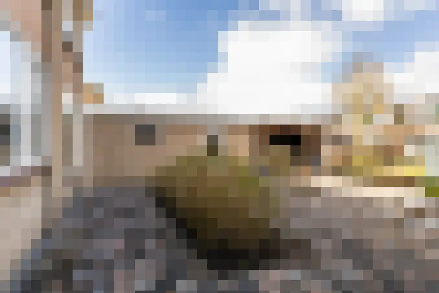 Meidoornlaan 21 Kamerik thumbnail 17