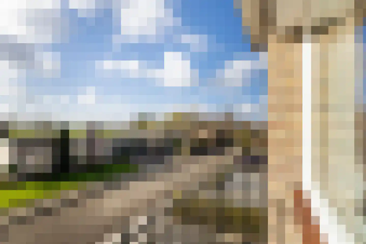 Meidoornlaan 21 Kamerik thumbnail 33