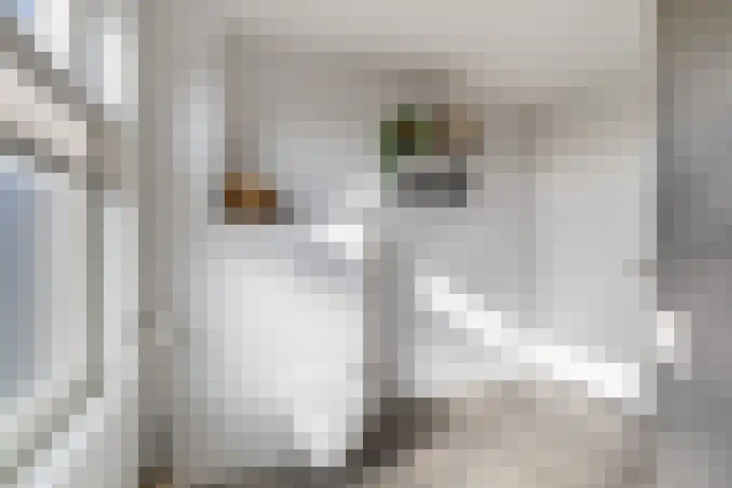 Meidoornlaan 21 Kamerik thumbnail 42