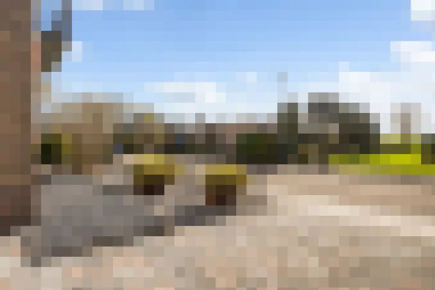 Meidoornlaan 21 Kamerik thumbnail 50