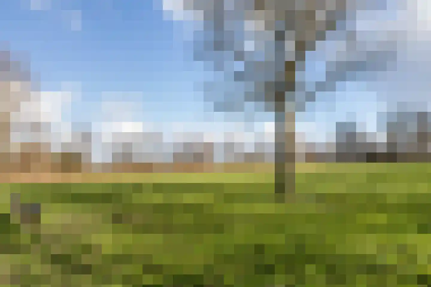 Meidoornlaan 21 Kamerik thumbnail 54