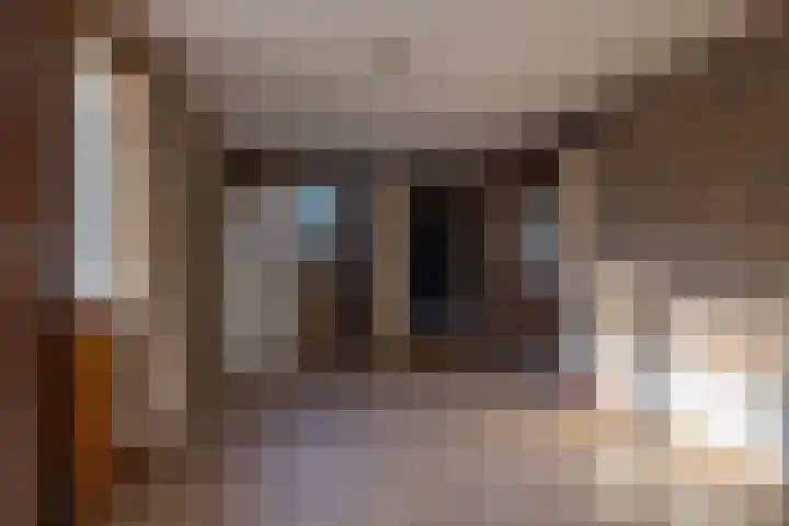 Meidoornlaan 21 Oldekerk thumbnail 18
