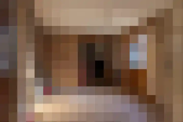 Meidoornlaan 21 Oldekerk thumbnail 19