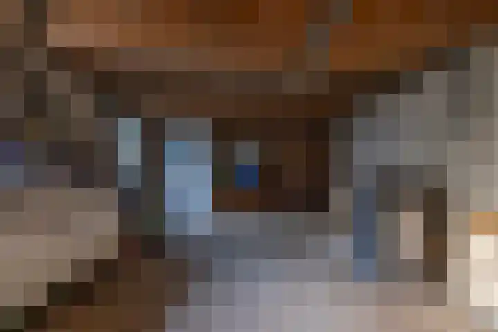 Meidoornlaan 21 Oldekerk thumbnail 20