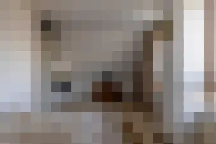 Meidoornlaan 21 Oldekerk thumbnail 26