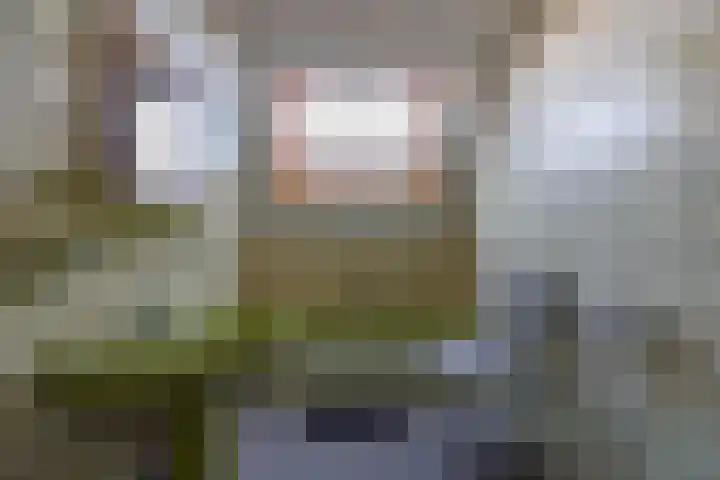 Meidoornlaan 21 Oldekerk thumbnail 32