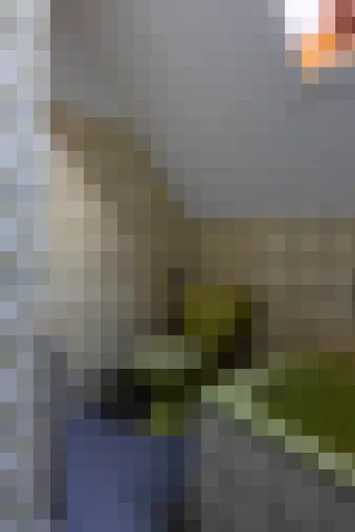 Meidoornlaan 21 Oldekerk thumbnail 33