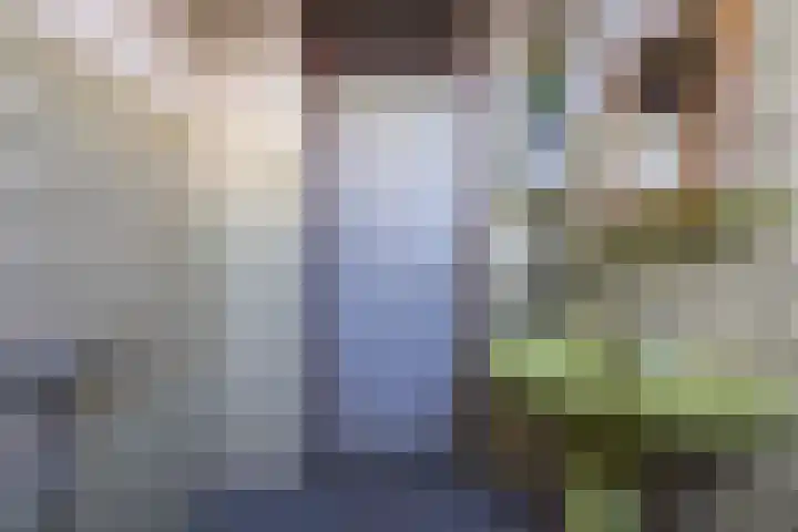 Meidoornlaan 21 Oldekerk thumbnail 34